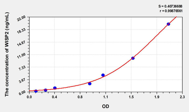 Human WISP2 (WNT1 Inducible Signaling Pathway Protein 2) ELISA Kit (AEKE07480)