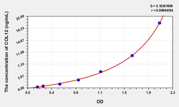 Human COL12 (Collagen Type XII) ELISA Kit (AEKE07575)