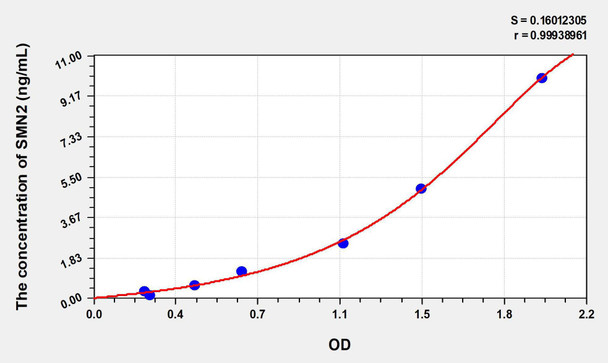 Human SMN2 (Survival Of Motor Neuron 2, Centromeric) ELISA Kit (AEKE07843)