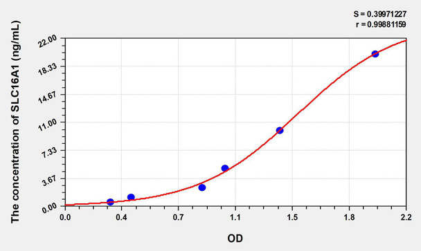 Human SLC16A1 (Solute Carrier Family 16, Member 1) ELISA Kit (AEKE08450)