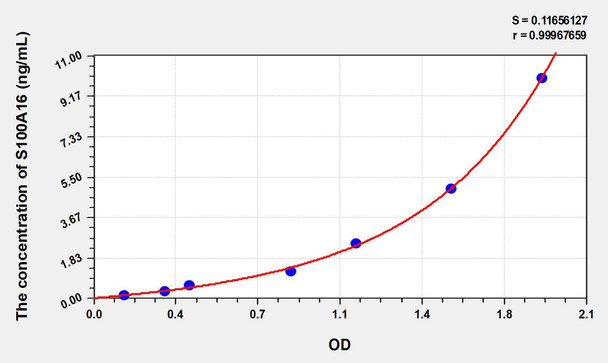Human S100A16 (S100 Calcium Binding Protein A16) ELISA Kit (AEKE08922)