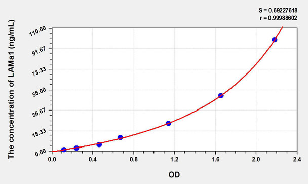Rat LAMa1 (Laminin Alpha 1) ELISA Kit (AEKE08991)
