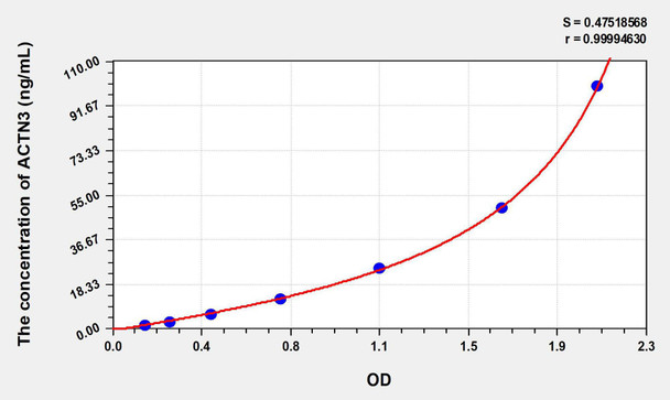 Human ACTN3 (Actinin Alpha 3) ELISA Kit (AEKE08994)