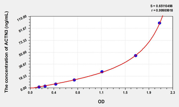 Human ACTN3 (Actinin Alpha 3) ELISA (Small Sample Volume) (AEKE08995)