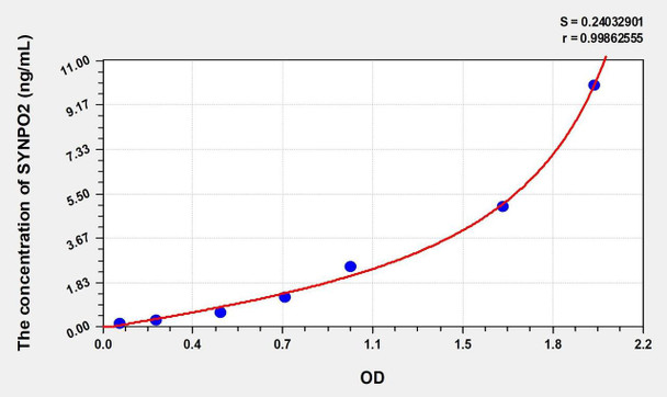 Mouse SYNPO2 (Synaptopodin 2) ELISA (Small Sample Volume) (AEKE09656)