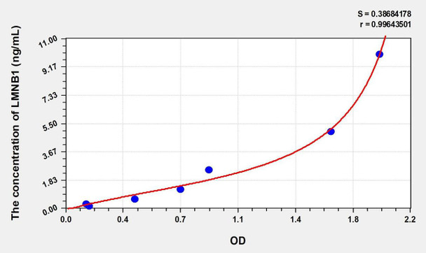 Human LMNB1 (Lamin B1) ELISA (Small Sample Volume) (AEKE10527)