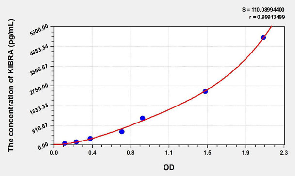 Mouse KIBRA (Kidney And Brain Protein) ELISA (Small Sample Volume) (AEKE10908)