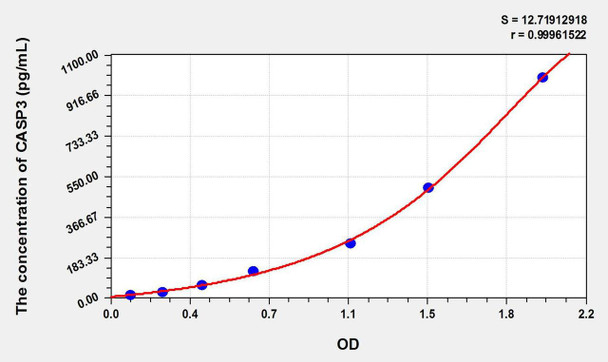 Rabbit CASP3 (Caspase 3) ELISA Kit (AEKE11100)