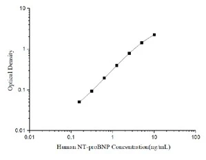 Human NT-ProBNP (N-Terminal Pro-Brain Natriuretic Peptide) ELISA Kit