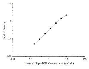 Human NT-ProBNP (N-Terminal Pro-Brain Natriuretic Peptide) ELISA Kit