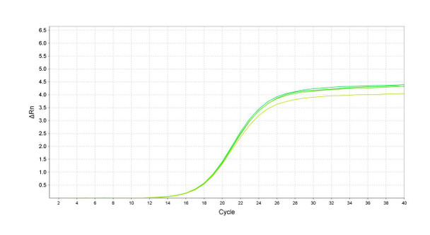 GenieDetect Human Telomere Length qPCR Assay Kit (Relative)