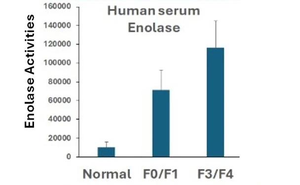 Enolase Assay Kit (BR00006)