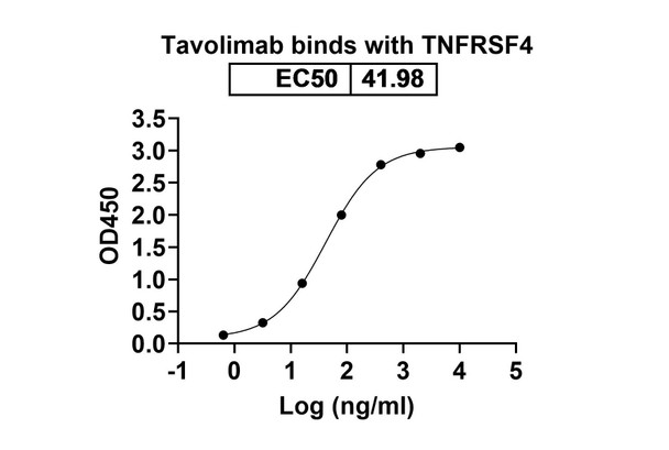 Tavolimab Antibody - bioactivity-binding