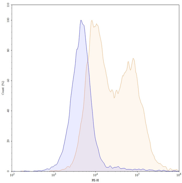 Petosemtamab Antibody - flow