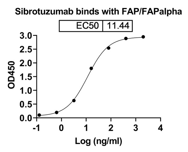 Sibrotuzumab Antibody - bioactivity-binding