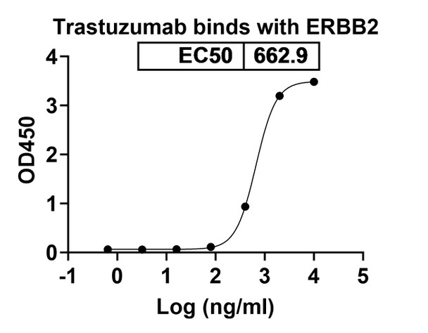 Trastuzumab Antibody - bioactivity-binding
