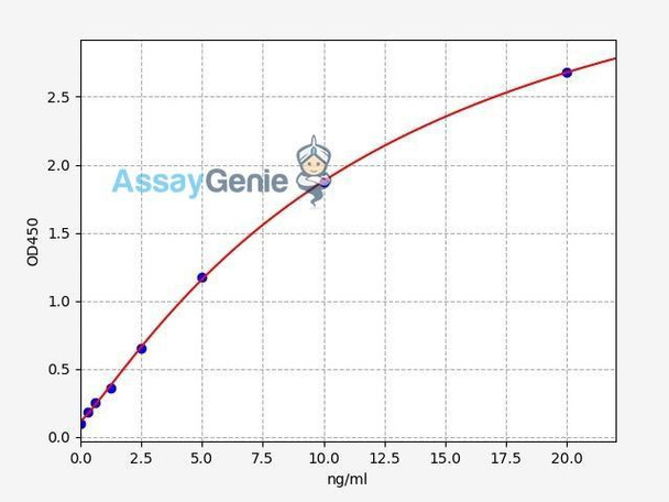 Human MAP2 ELISA Kit (HUFI01219)