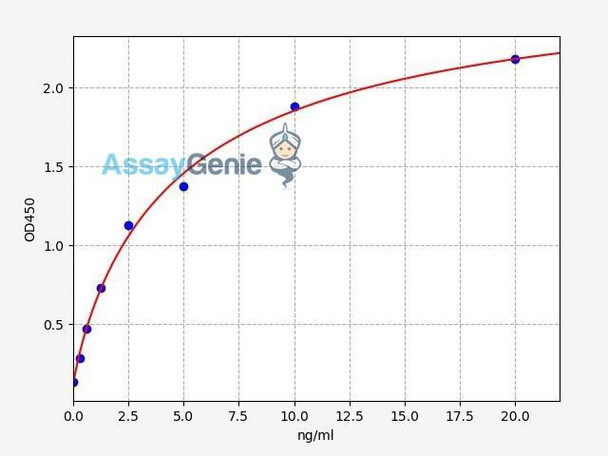 Human UBB/Ubiquitin-B ELISA Kit (HUFI00526)
