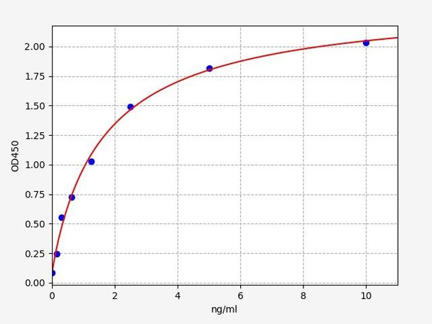 Rat Immunology ELISA Kits 1 Rat c-MAF / Transcription factor Maf ELISA Kit