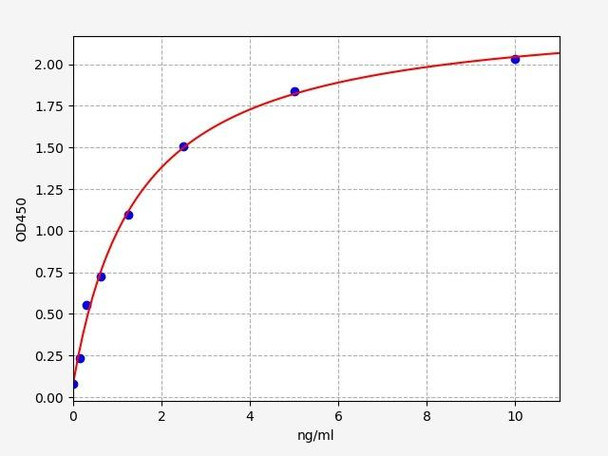 Rat Immunology ELISA Kits 2 Rat AVPR1b / Vasopressin V1b receptor ELISA Kit