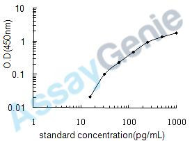 Human Cell division control protein 42 homolog (CDC42) ELISA Kit (HUEB0581)