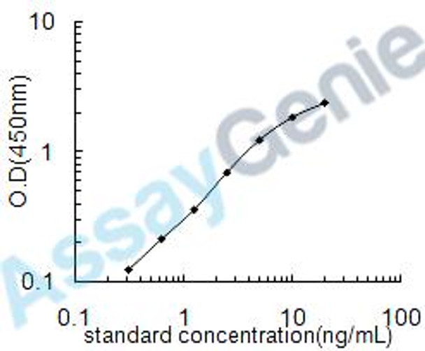 Human HLA class I histocompatibility antigen, alpha chain E (HLA-E) ELISA Kit (HUEB1781)