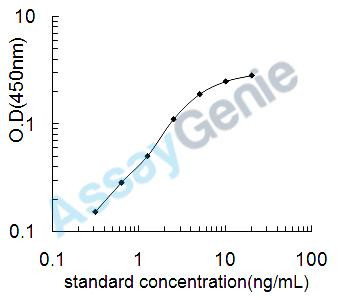 Mouse Protein-glutamine gamma-glutamyltransferase 2 (Tgm2) ELISA Kit (MOEB1666)