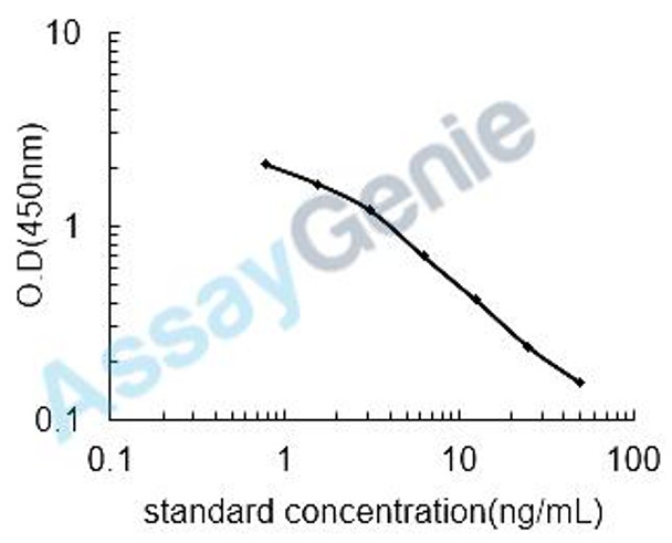 Horse N (6)-Carboxymethyllysine (CML) ELISA Kit (HREB0081)