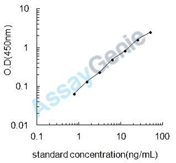 Rat Fascin (Fscn1) ELISA Kit (RTEB1193)
