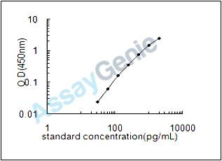 Rat Netrin-1 (Ntn1) ELISA Kit (RTEB1223)