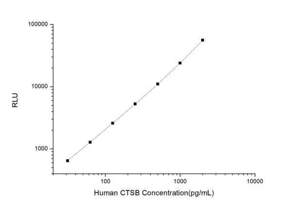 Human Cell Biology ELISA Kits 3 Human CTSB Cathepsin B CLIA Kit HUES00018