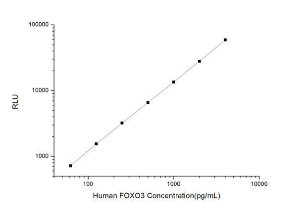 Human Cell Death ELISA Kits Human FOXO3 Forkhead Box Protein O3 CLIA Kit HUES00648