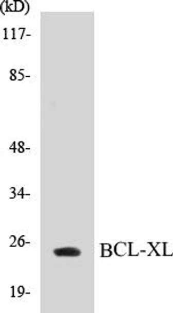 Cell Death BCL-XL Colorimetric Cell-Based ELISA Kit