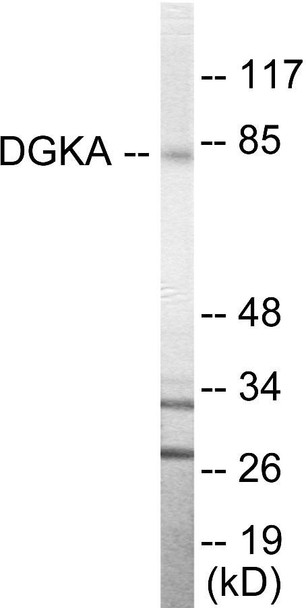 DGKA Colorimetric Cell-Based ELISA