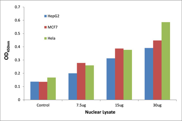 p53 Phospho-Ser315 Transcription Factor Activity Assay