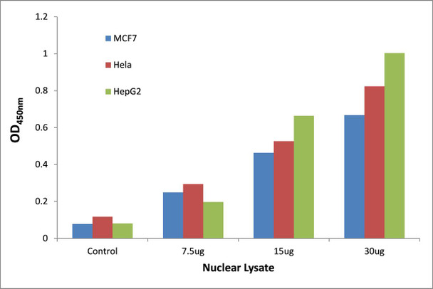 p53 Phospho-Ser376 Transcription Factor Activity Assay