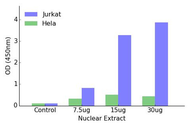 DP-2 Transcription Factor Activity Assay