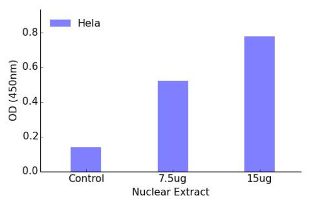 FOXO1A Transcription Factor Activity Assay