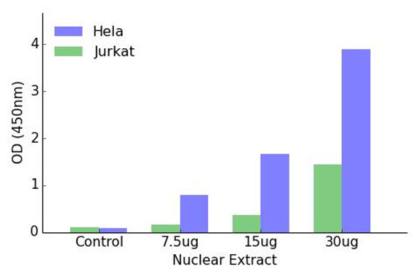 GATA3 Transcription Factor Activity Assay