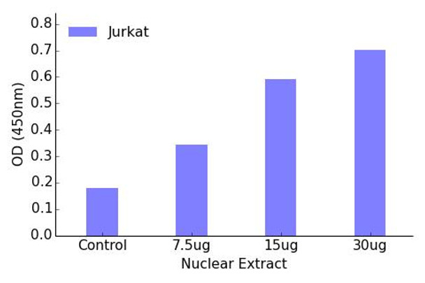 GATA4 Transcription Factor Activity Assay