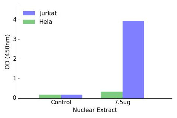 TCF7 Transcription Factor Activity Assay