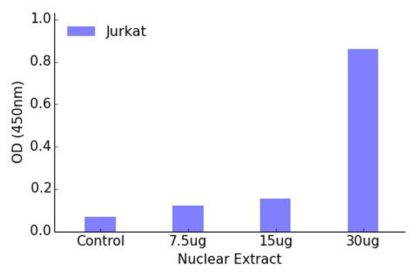 Pax-8 Transcription Factor Activity Assay