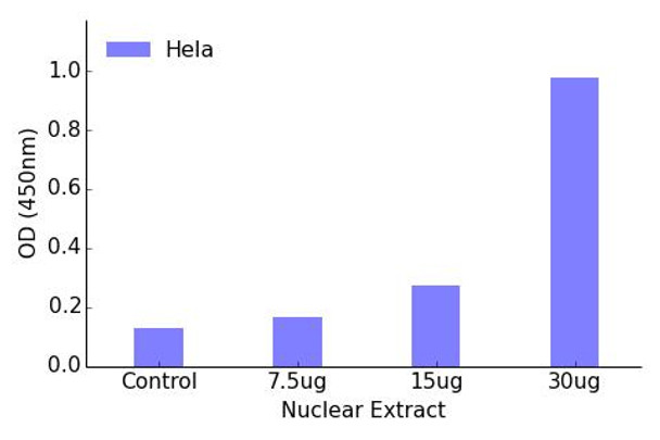 TBX18 Transcription Factor Activity Assay