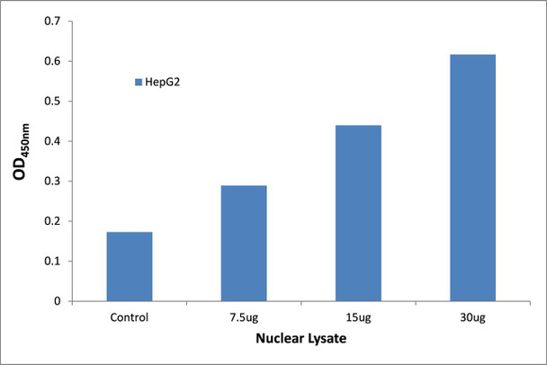 STAT2 Transcription Factor Activity Assay