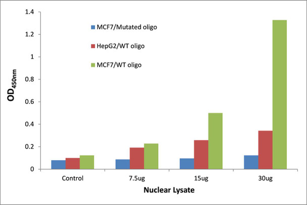 KLF Transcription Factor Activity Assay