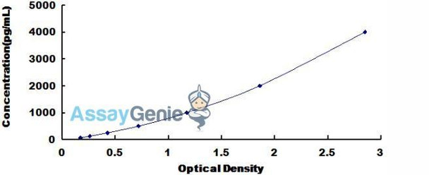 Human Osteocalcin (OC) ELISA Kit (HUDL02127)