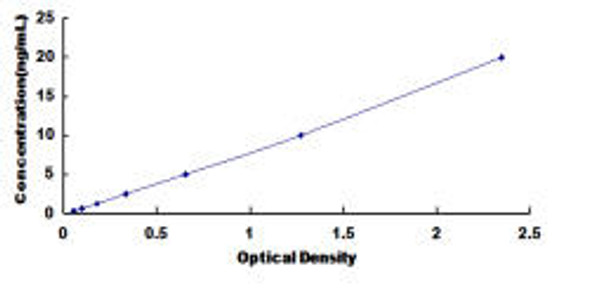 Rabbit Osteocalcin OC ELISA Kit