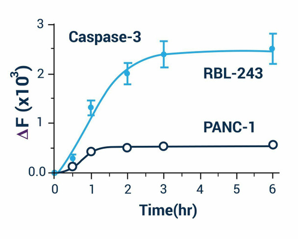 Cell Health Assays Caspase 3/7 Assay Kit Fluorometric BA0020
