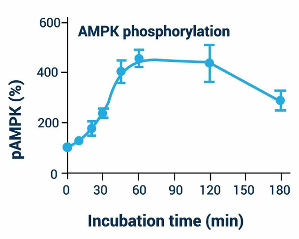 Signaling Pathway Assays AMPK Phosphorylation Assay Kit Fluorometric BA0075