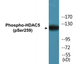 Epigenetics and Nuclear Signaling